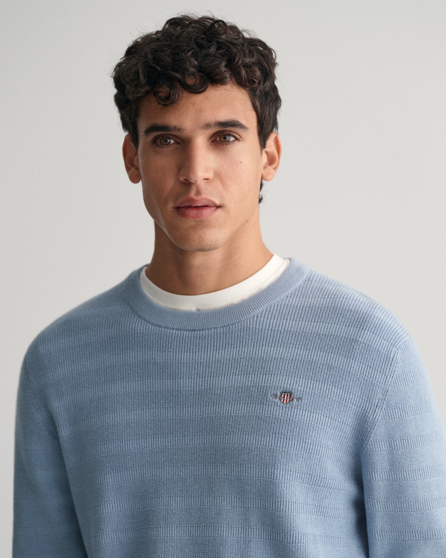 Men's Striped Textured Cotton Crew Neck Sweater - DOVE BLUE