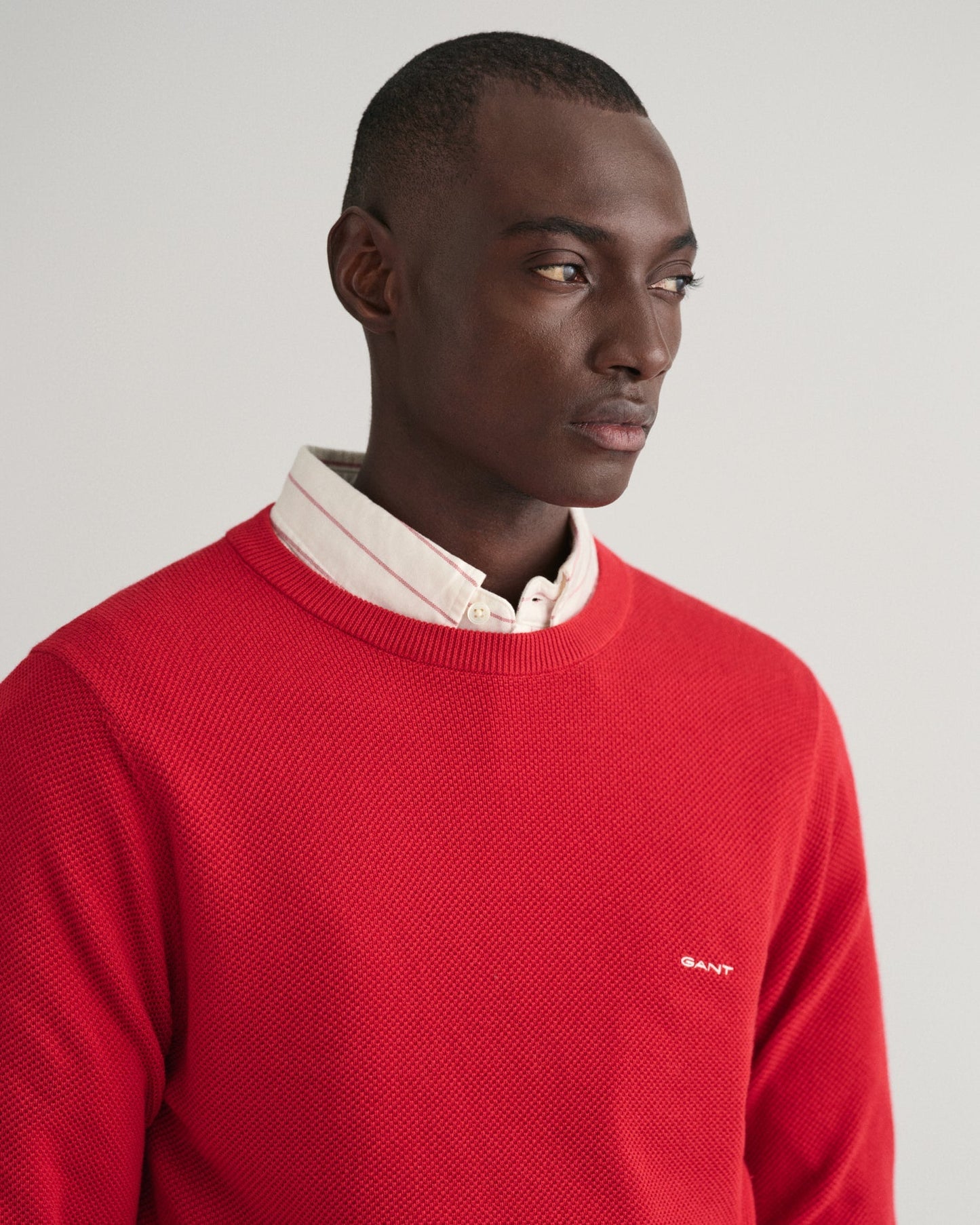 Men's Cotton Piqué Crew Neck Sweater - RUBY RED