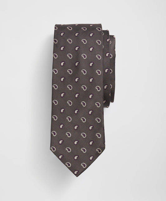 Silk Alternating Pine Paisley Tie