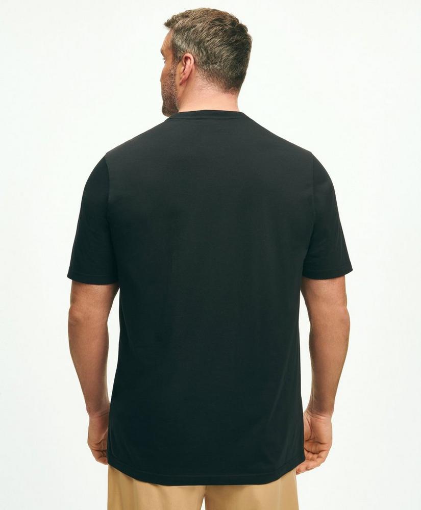 Big & Tall Supima Cotton T-Shirt